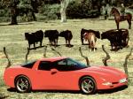 Chevrolet Corvette Coupe 1997 года (EU)